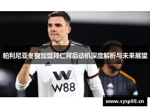 帕利尼亚冬窗加盟拜仁背后动机深度解析与未来展望 帕利尼亚冬窗加盟拜仁背后动机深度解析与未来展望