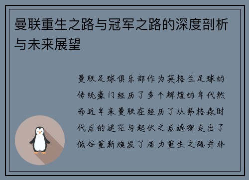 曼联重生之路与冠军之路的深度剖析与未来展望